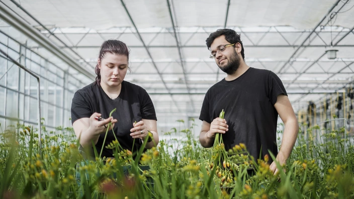 Bild mit Auszubildenden im Gartenbau